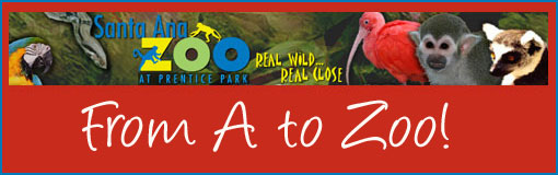 from-a-to-zoo-