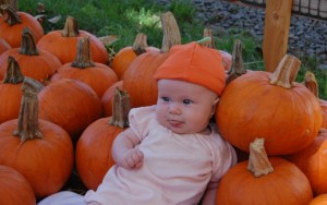 MorganPumpkinPatch