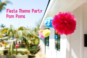 Fiesta Theme Party Pom Poms