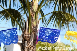 Mexican Party Banner