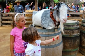 girls-petting-zoo