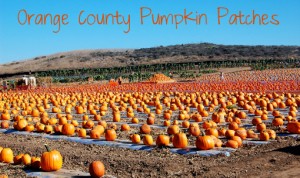 oc-pumpkin-patch